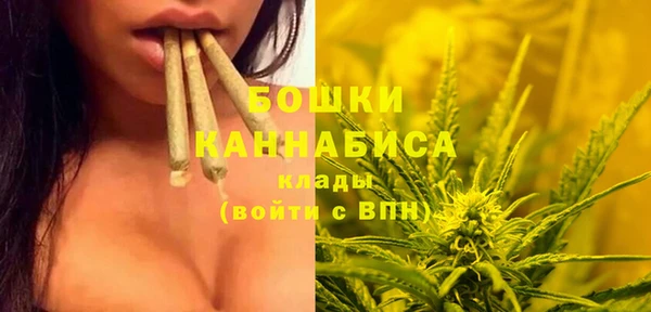 сатива Семилуки